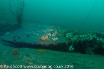 Permanent Shot on the Glanmire Wreck at Saint Abbs Head May 2016